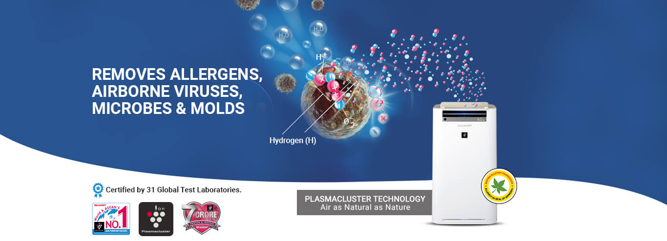 Plasmacluster Banner